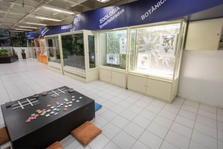 Retrospectiva: confira as aes realizadas pelo Museu de Cincias da Univates em 2024